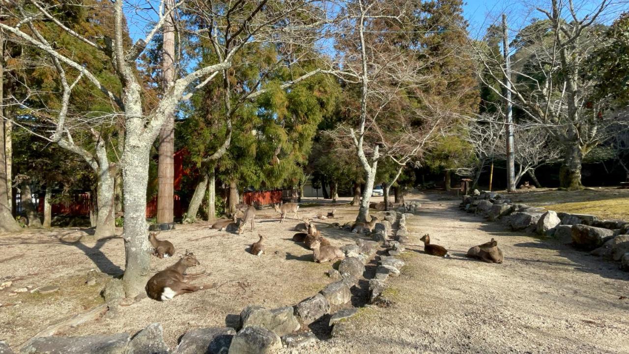 فندق Miyajima Morinoyado هاتسوكايتشي المظهر الخارجي الصورة