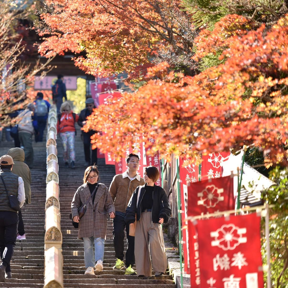 فندق Miyajima Morinoyado هاتسوكايتشي المظهر الخارجي الصورة