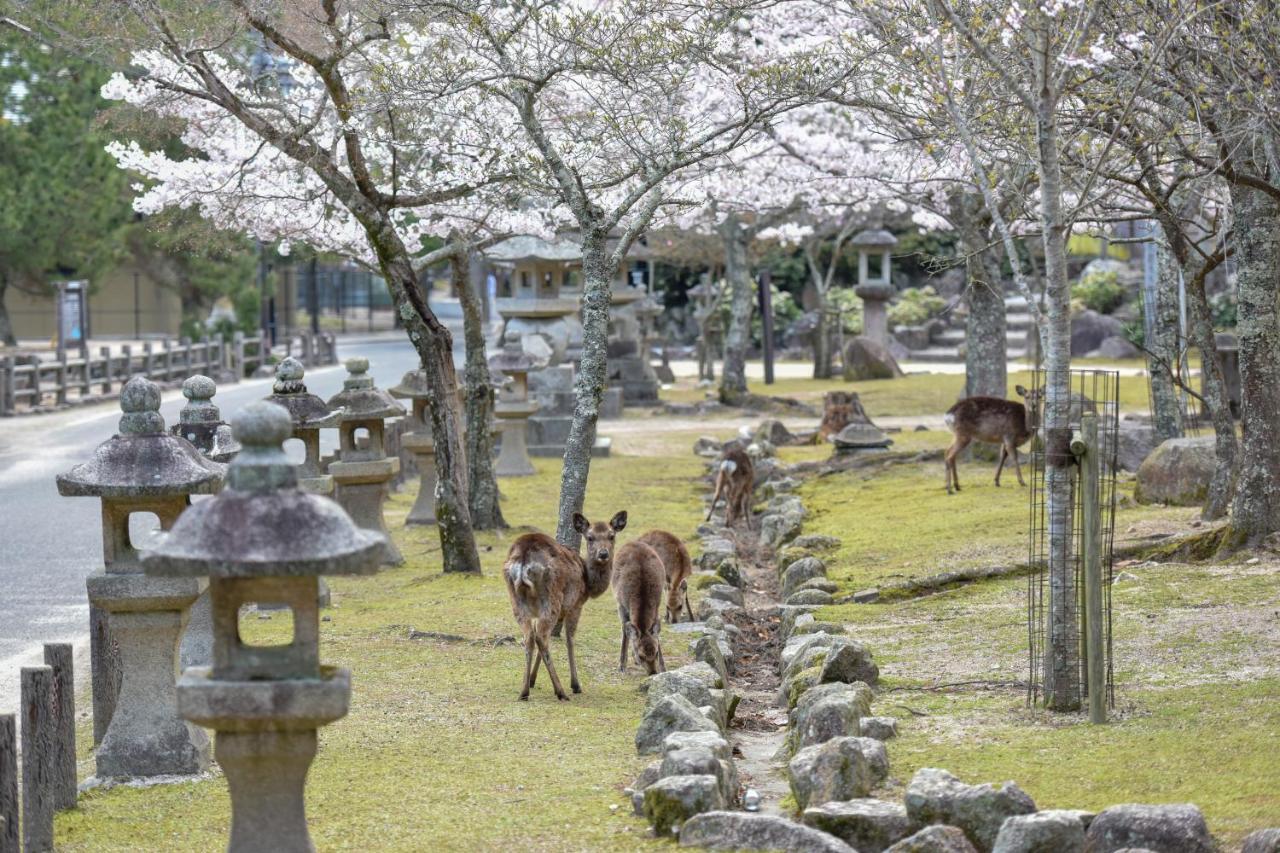 فندق Miyajima Morinoyado هاتسوكايتشي المظهر الخارجي الصورة