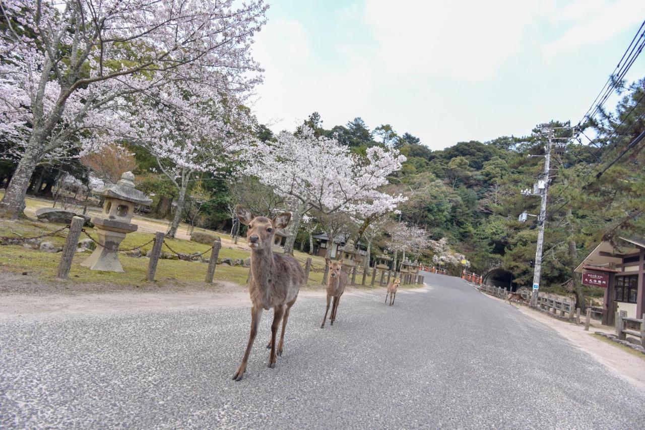 فندق Miyajima Morinoyado هاتسوكايتشي المظهر الخارجي الصورة
