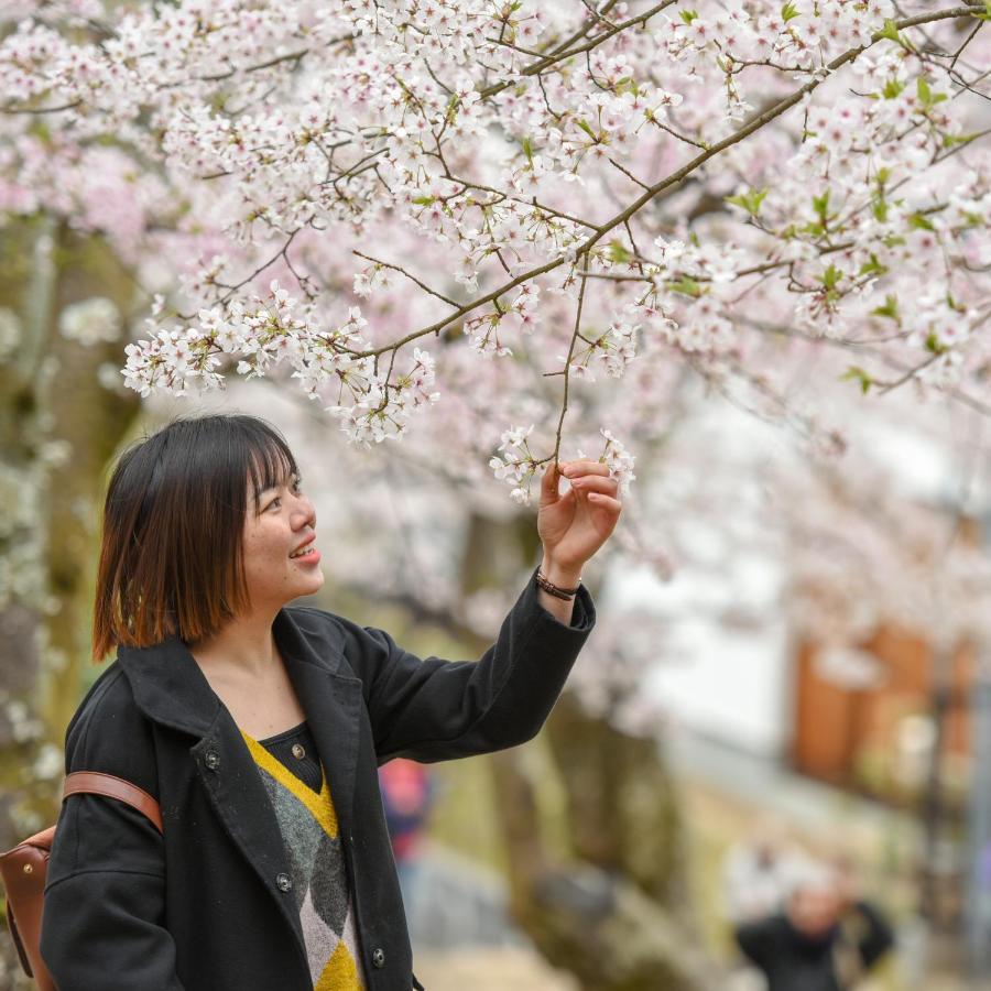 فندق Miyajima Morinoyado هاتسوكايتشي المظهر الخارجي الصورة